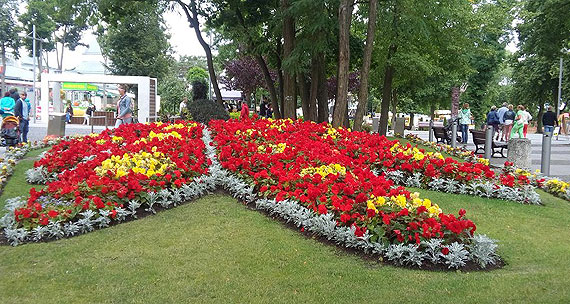 Midzyzdroje ukwiecone do granic moliwoci!