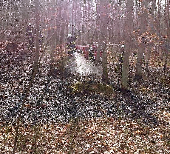 W wierznie pali si las! Do akcji ruszyy OSP Gosty i OSP wierzno!