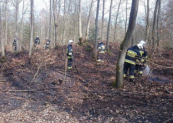 W wierznie pali si las! Do akcji ruszyy OSP Gosty i OSP wierzno!