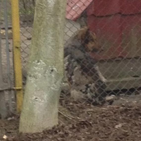 I po piesku. Ta historia moga si skoczy dobrze