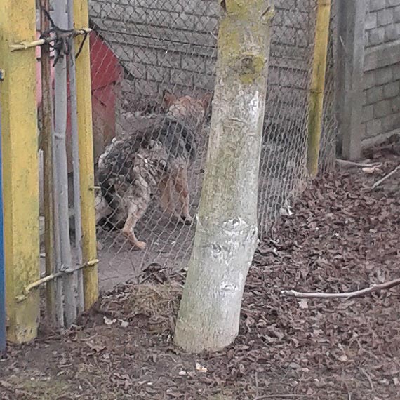 I po piesku. Ta historia moga si skoczy dobrze