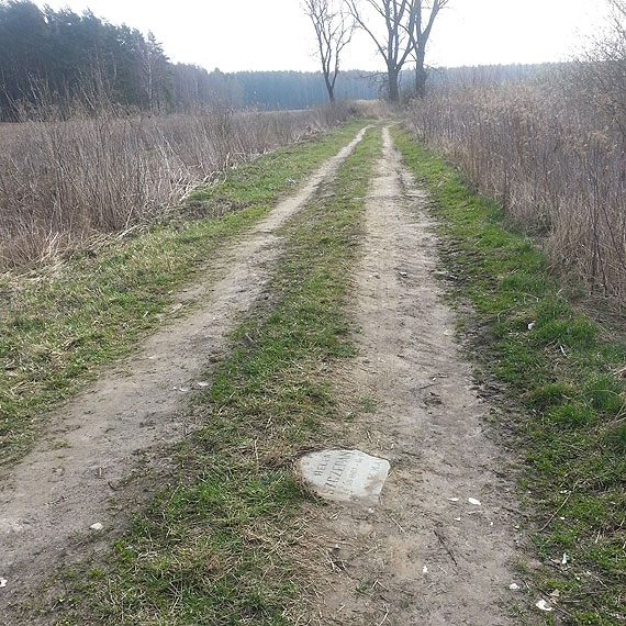 Czytelnik: Płyta nagrobkowa w szczerym polu. Nie pamiętam, żeby w Golczewie był cmentarz