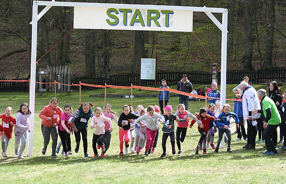 XX Wiosenne Biegi Przeajowe pod hasem „yjemy zdrowo i na sportowo”. Zobacz fotogaleri!