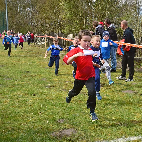 XX Wiosenne Biegi Przeajowe pod hasem „yjemy zdrowo i na sportowo”. Zobacz fotogaleri!