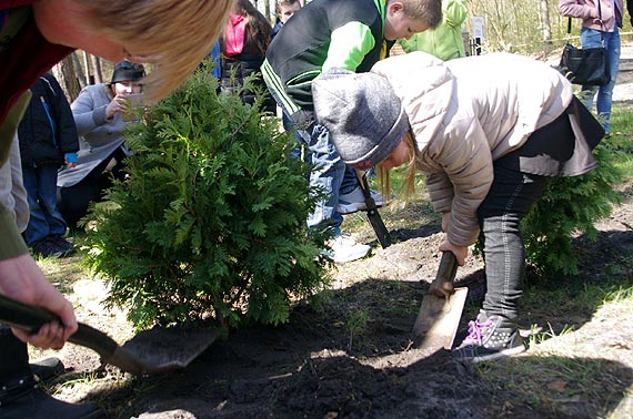 Podsumowanie konkursu plastycznego „Wiosna zaczyna się w lesie”