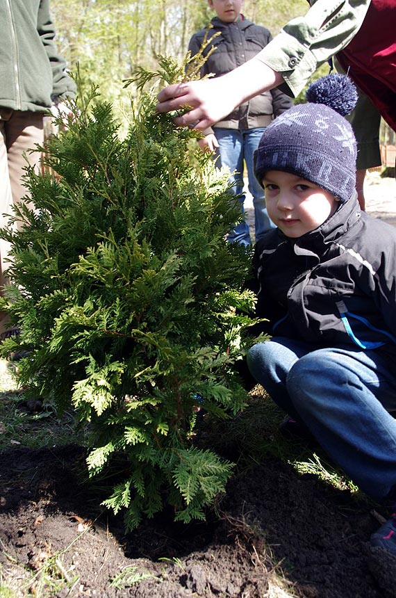 Podsumowanie konkursu plastycznego „Wiosna zaczyna się w lesie”
