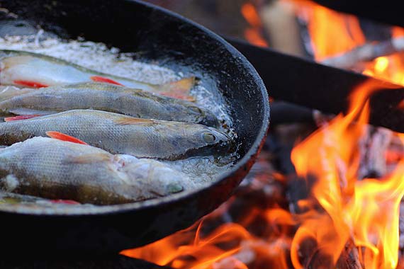 Kochasz ryby? Musisz tam by!