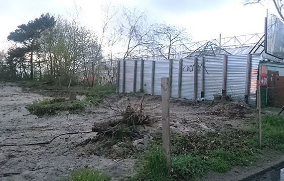 Nasz Czytelnik na tropie tajemniczej wycinki na wydmach w Midzyzdrojach