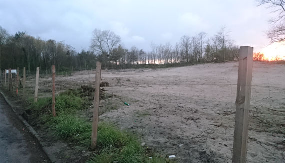 Nasz Czytelnik na tropie tajemniczej wycinki na wydmach w Międzyzdrojach