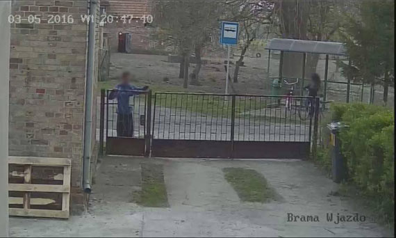 Szok! W Ugorach koo wierzna porwali psa