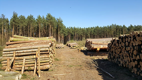 Nadlenictwo Gryfice: Urzdzenie stanowi zapor dla osb amicych przepisy
