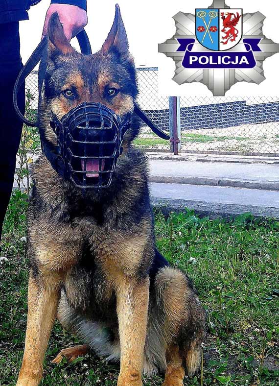 "JOL" oraz "IM" czyli policjanci na czterech apach