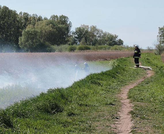 Pożar trzciny i torfu pod Kamieniem Pomorskim
