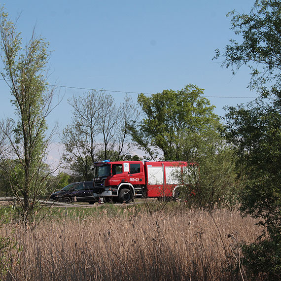 Pożar trzciny i torfu pod Kamieniem Pomorskim
