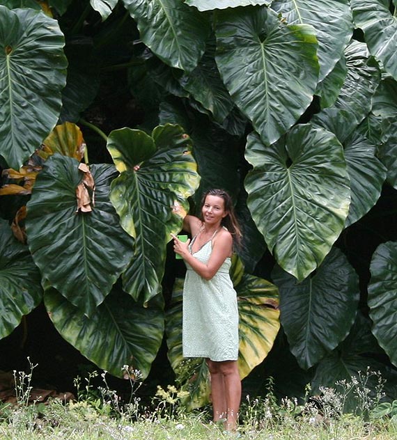 Sputnikiem dookoa Ziemi – znw na szlaku