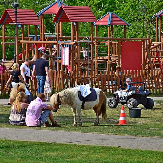Kucyki  przegrywaj z...konikami mechanicznymi