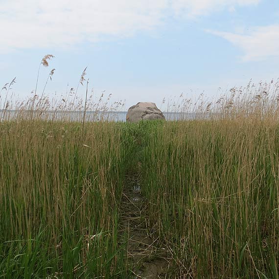 Krlewski Gaz - legenda, fakty i niepokj Czytelnika