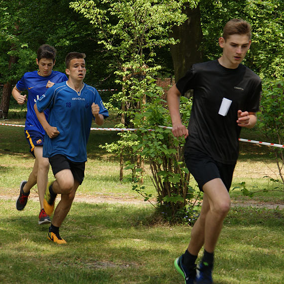 XVII Olimpijska Majwka – wyniki