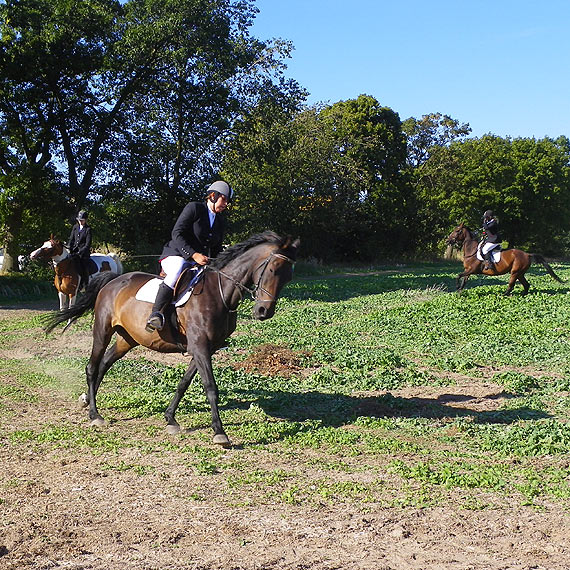 Zapraszamy na imprezy sportowe na wodzie i ldzie