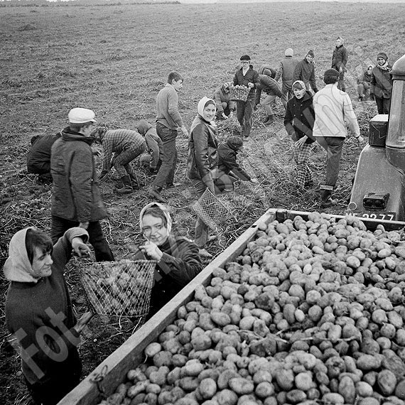 Wspomnienia Andrzeja Ryfczyskiego: Chodzilimy po play i zbieralimy kapitalistyczn stonk jak bursztyn po sztormach!