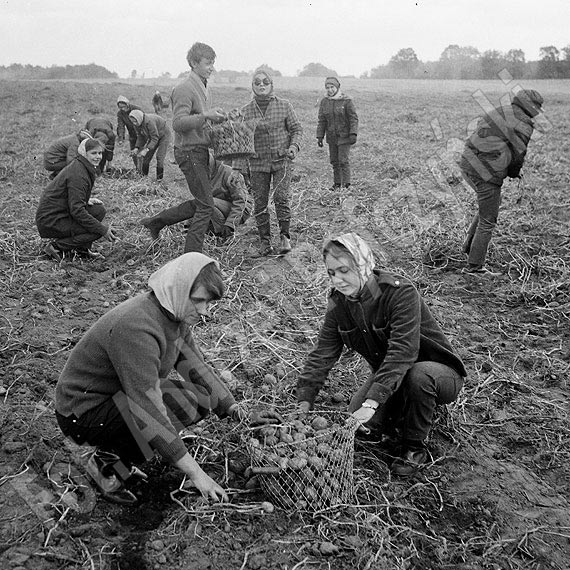 Wspomnienia Andrzeja Ryfczyskiego: Chodzilimy po play i zbieralimy kapitalistyczn stonk jak bursztyn po sztormach!