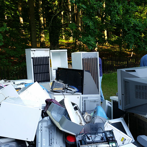 Akcja kwiatki za elektroodpadki zakoczona sukcesem