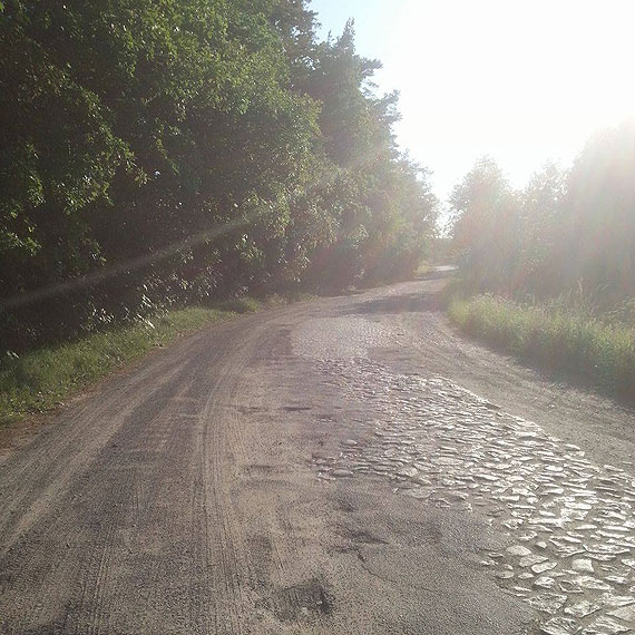 Dziury takie, e mona urwa koo! Tak wyglda droga z Mokrzycy Wielkiej do Dargobdza 