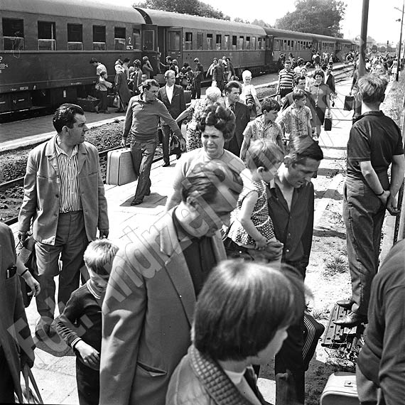 „Stonka” opanowała Świnoujście