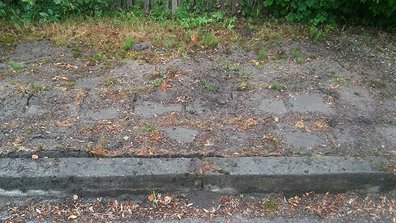 Mieszkacy Skarchowa: Chodnik wstydu szpeci ca okolic! 