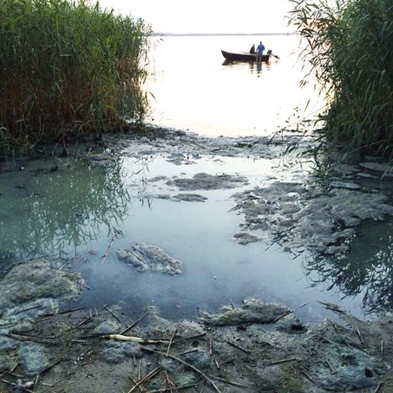 Czy w cinie kto wylewa do Zalewu Kamieskiego nieczystoci z szamba?
