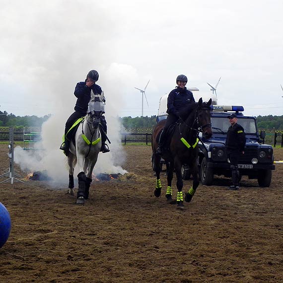 Konne patrole Policji w Dziwnowie