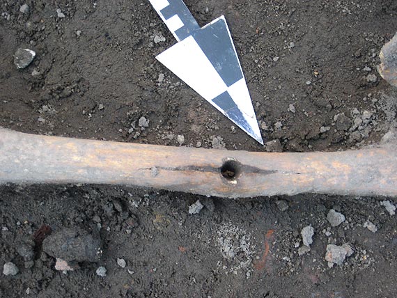 Wampir powrci do Kamienia, ale nie dla wszystkich