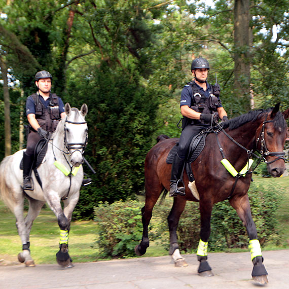 Jedyna okazja zobaczy konie live