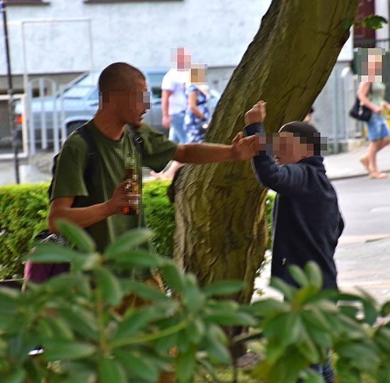 Ekipy alkoholowe te lubi ziele?