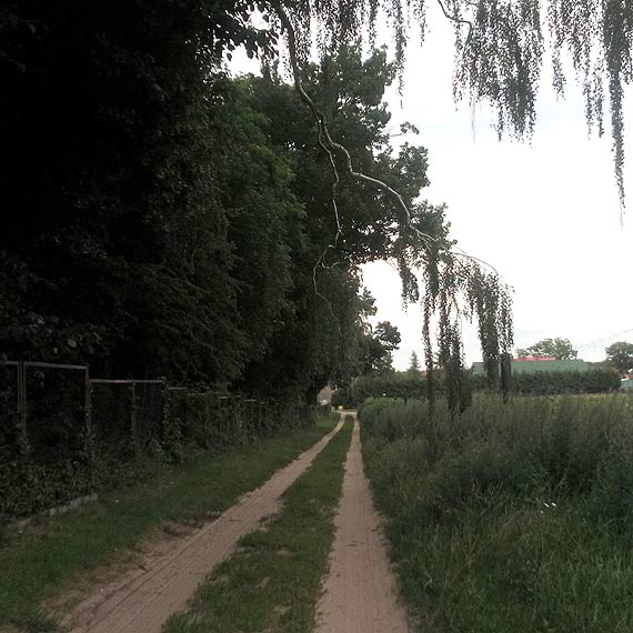 Mieszkaniec Wolina: Te gazie niedugo zrobi komu krzywd! Czy suby czekaj na tragedi?