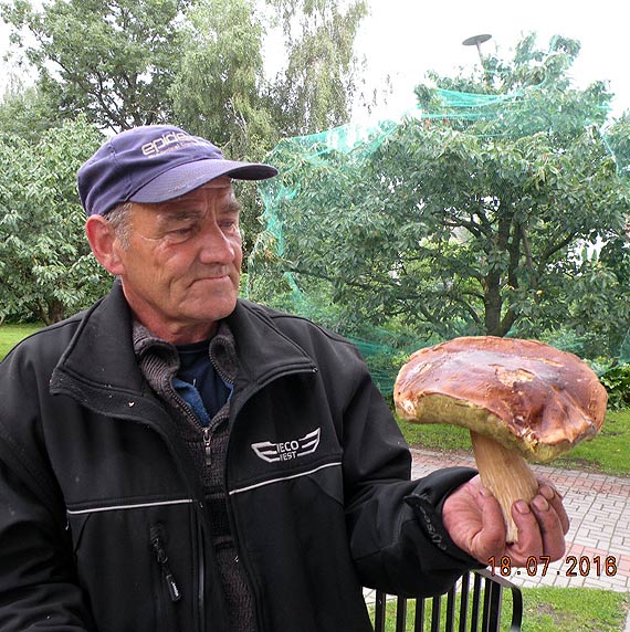 Pan Piotr z Trzebieszewa znalaz gigantycznego borowika! Okaz way a 750 gramw!