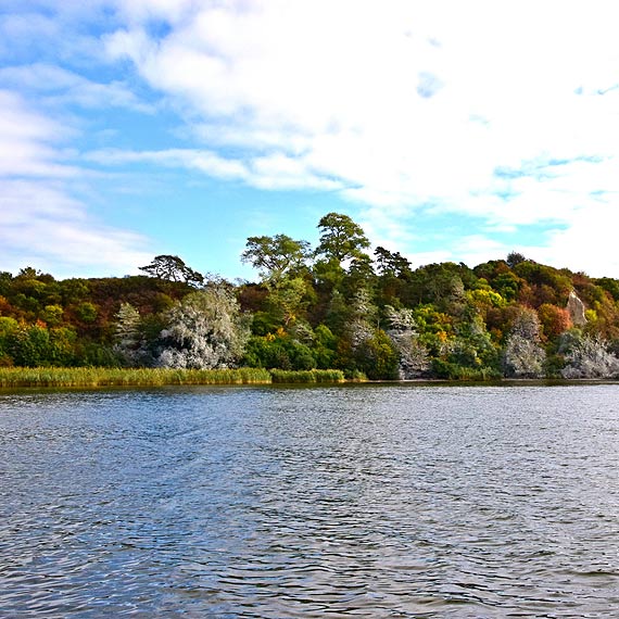 Ju wkrtce Lubin bdzie mia teren rekreacyjny.  Potrzebne rce do pomocy - mile widziane dobry nastrj i narzdzia