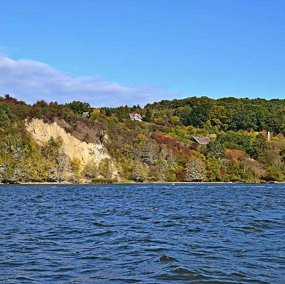 Pady dziczek znaleziony przez mieszkacw. Co mogo by przyczyn?