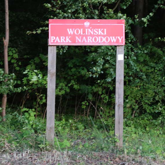 Nowego dyrektora Woliskiego Parku Narodowego moemy pozna w sierpniu