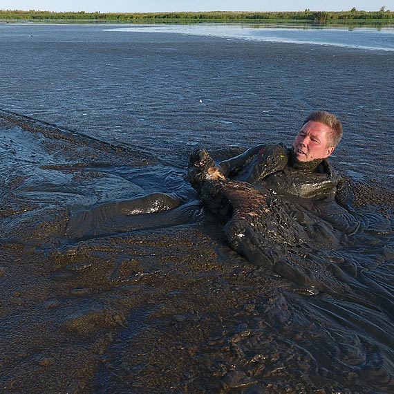 winoujski fotograf podj ostatni prb uratowania ptaka. Udao si! Zobacz film!