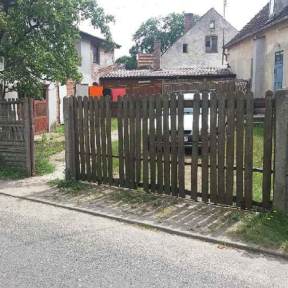 W Dargobdzu psy zaatakoway kobiet. Mieszkacy obawiaj si o swoje ycie