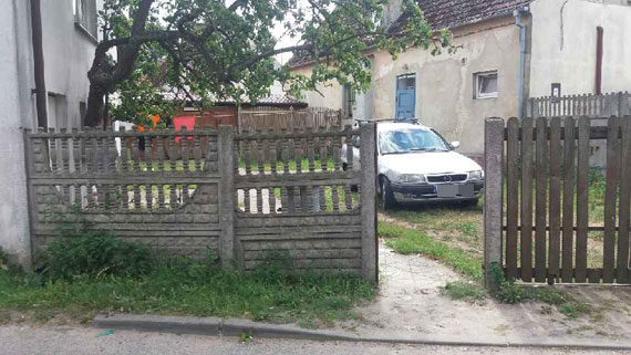 W Dargobdzu psy zaatakoway kobiet. Mieszkacy obawiaj si o swoje ycie