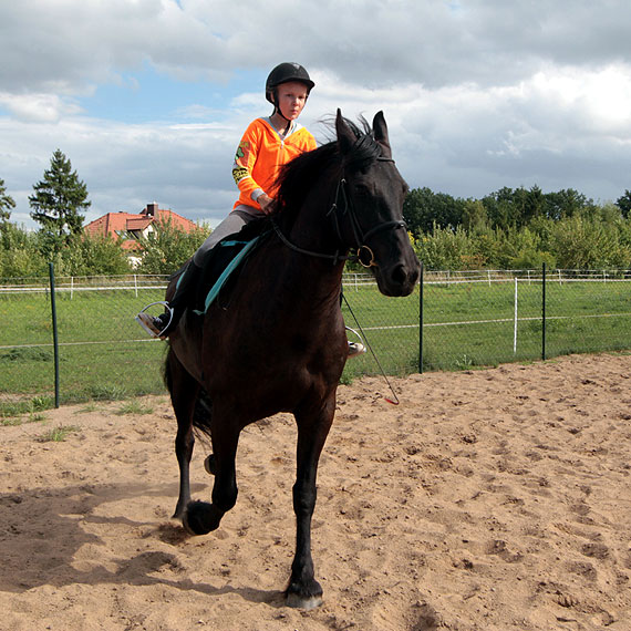 BARTELLE do Kamienia Pomorskiego przygalopował z Holandii