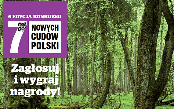 Woliskie klify mog zosta jednym z cudw Polski! Rusza plebiscyt miesicznika National Geographic Traveler