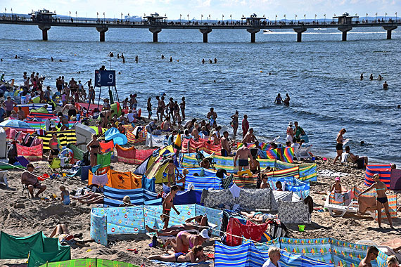 Mieszkaniec: W Niemczech tego cyrku z parawanami nie ma! Tylko u nas trwa bitwa o miejsce na play