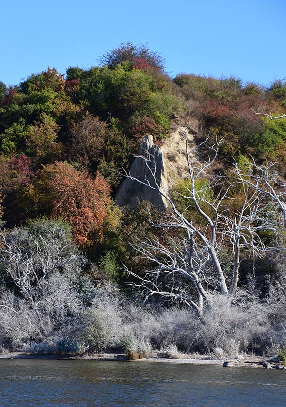 Kormorany zniszcz klify