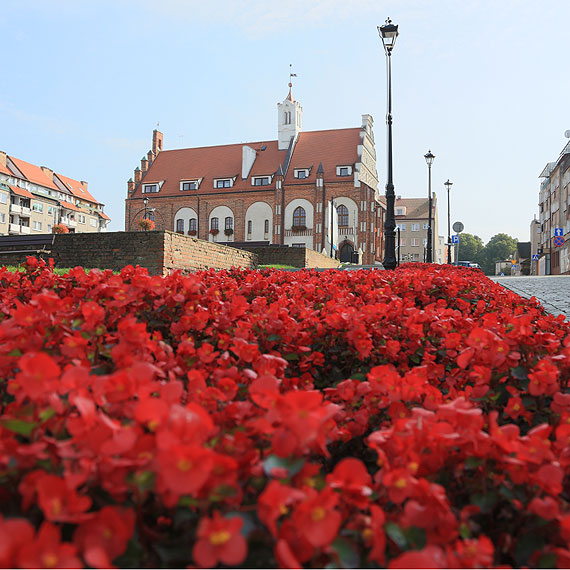 Mieszkaniec: Czy Burmistrz Kamienia Pomorskiego nie lubi kwiatów?