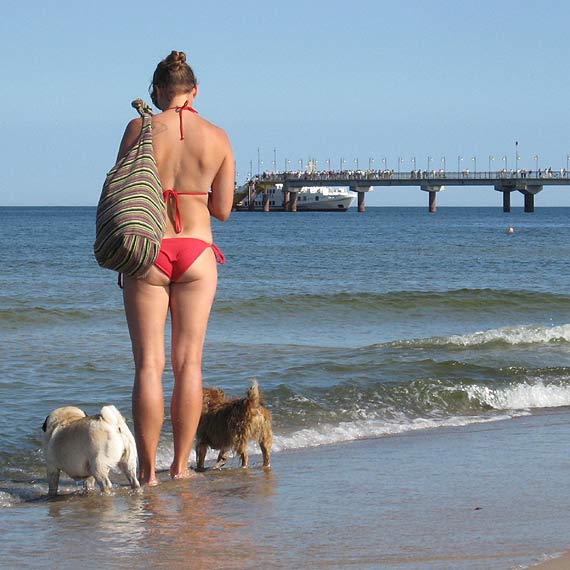 Czytelniczka z Midzyzdrojw: Jak mam pewno, e nie le na psiej kupce?