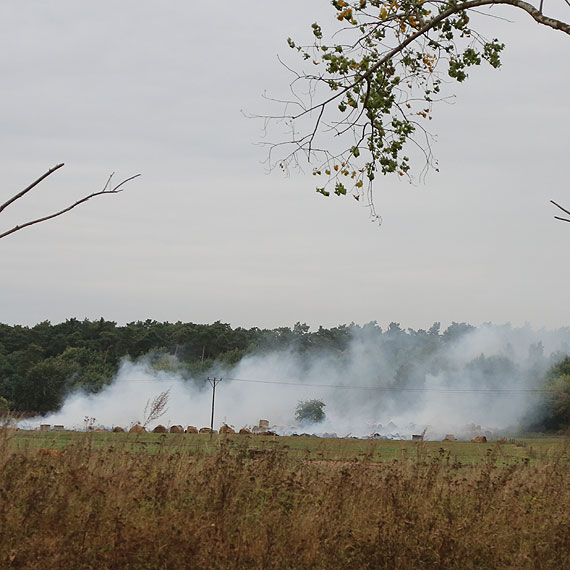 Poar w Rzeczynie. Pono 500 balotw siana