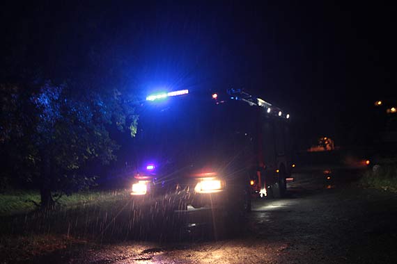 Odnaleziono niedosz samobjczyni